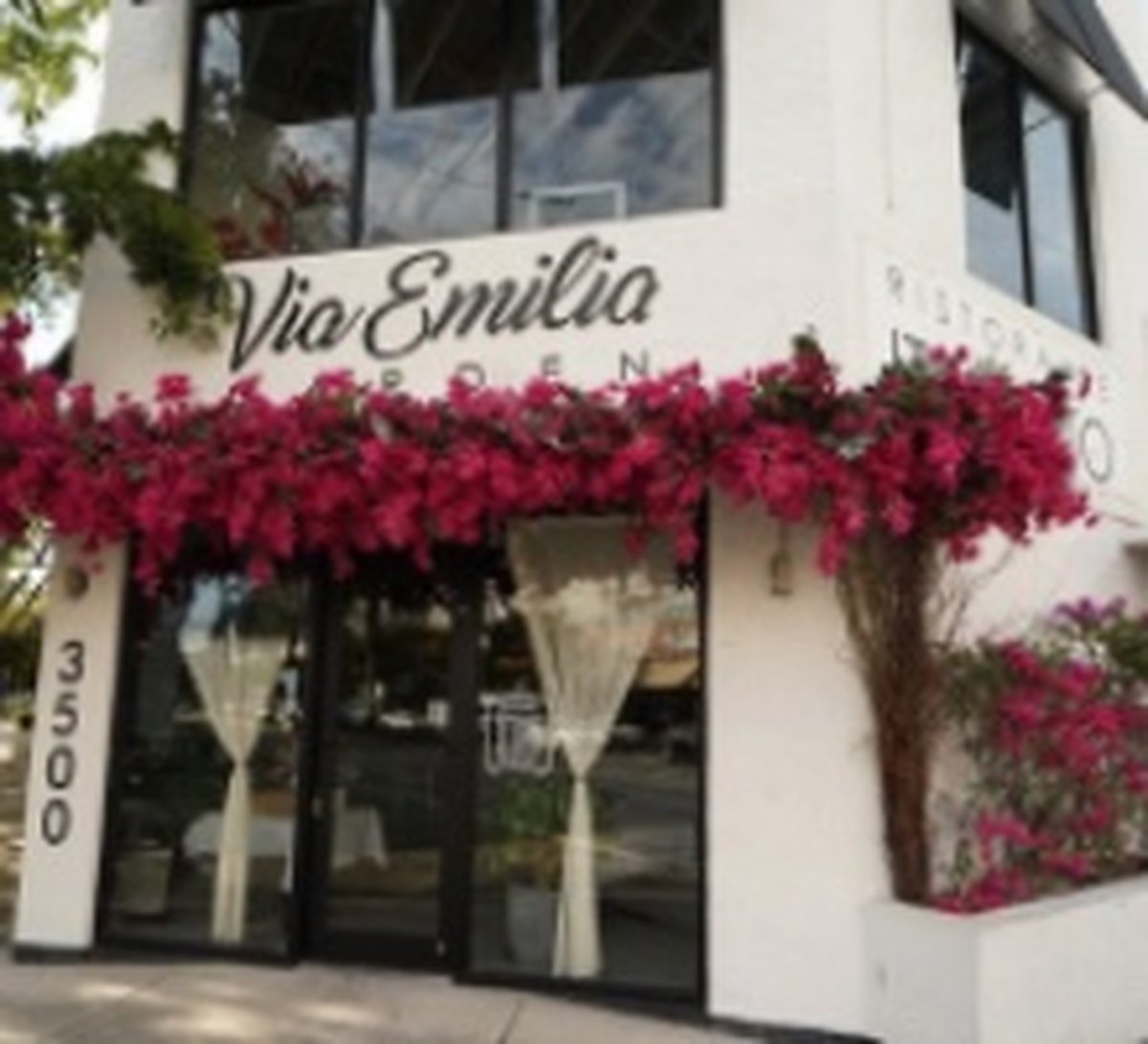 Via Emilia ceiling — Restaurant ceiling installation by Flower Fairy in Miami